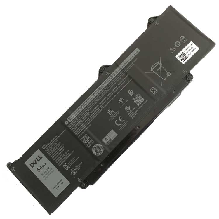 DELL DR02P